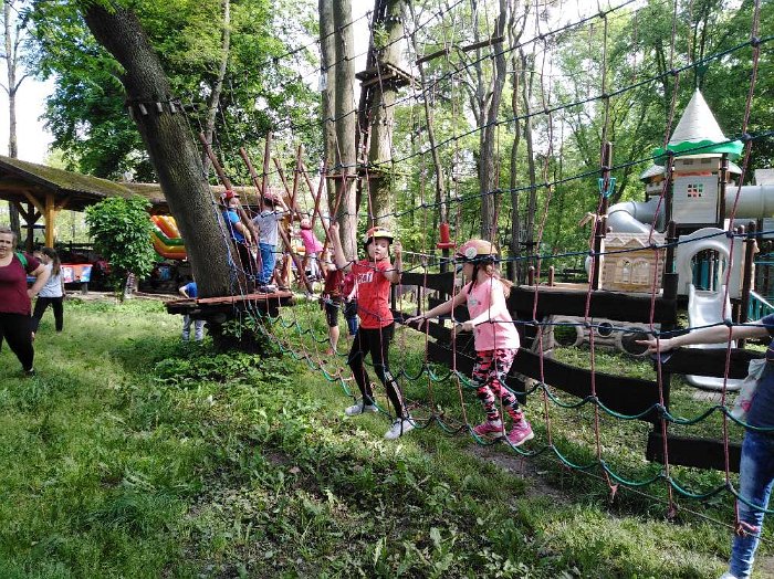 PARK LINOWY (66)